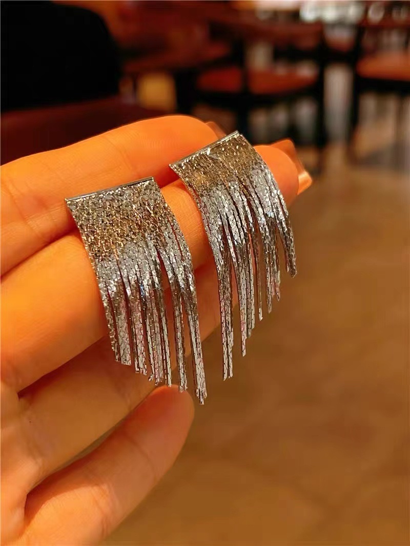 Metal tassel elegant earrings, silver needle anti-allergy jewelry, CAI Ni accessory model 025