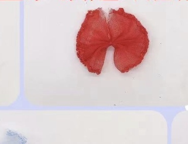 蝴蝶结/发夹/夹子产品图