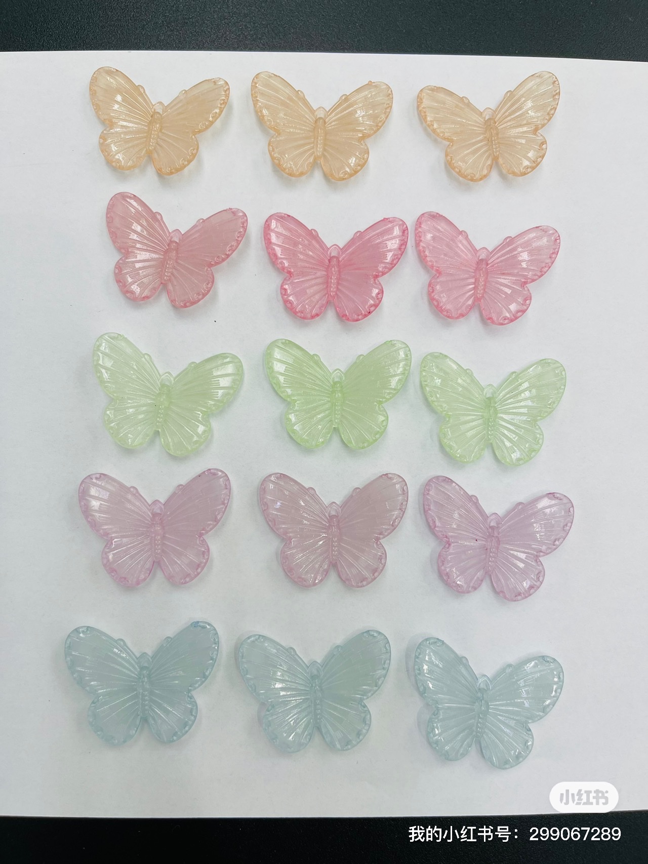夜光蝴碟细节图