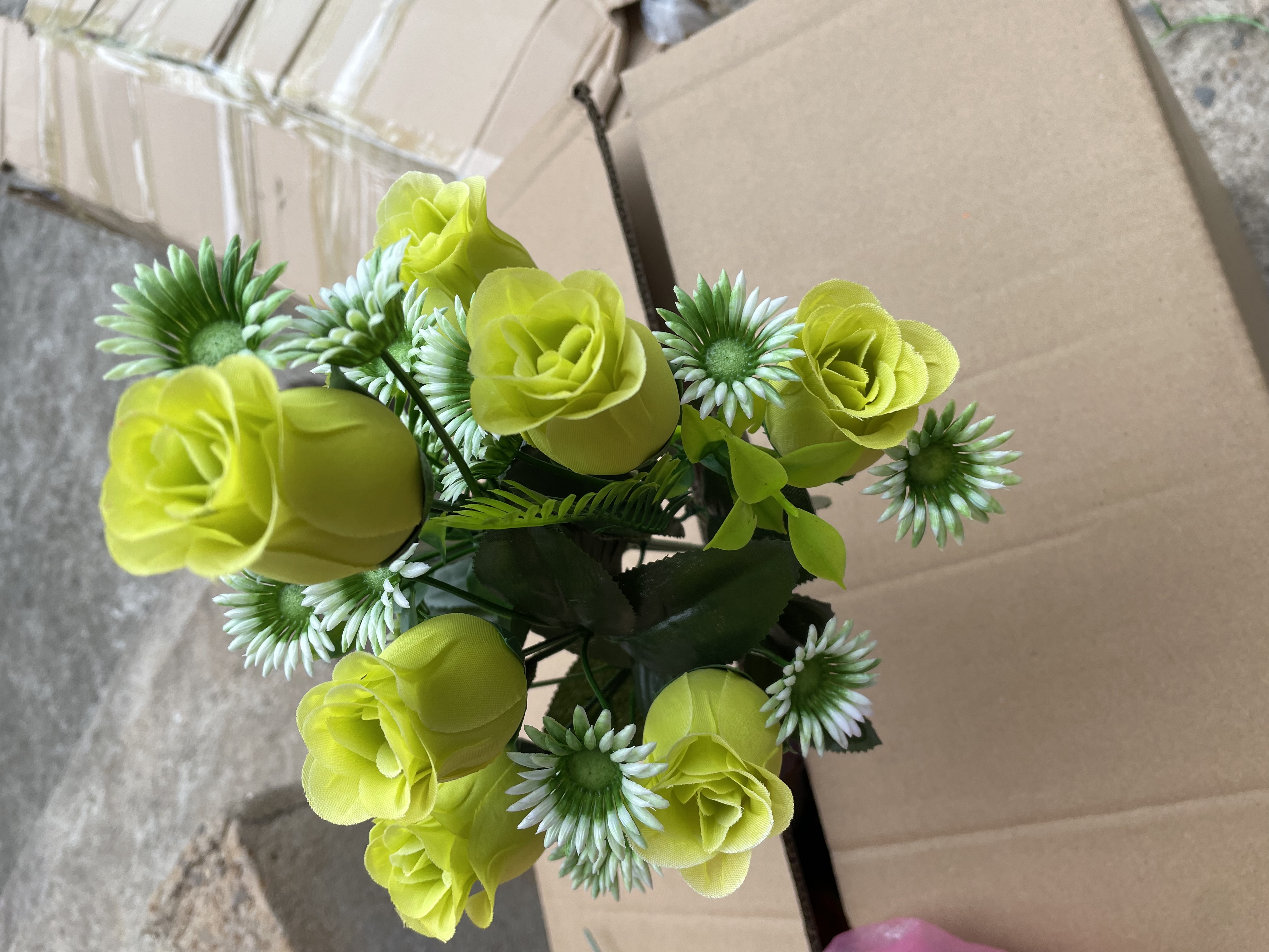 9头1号花蕾