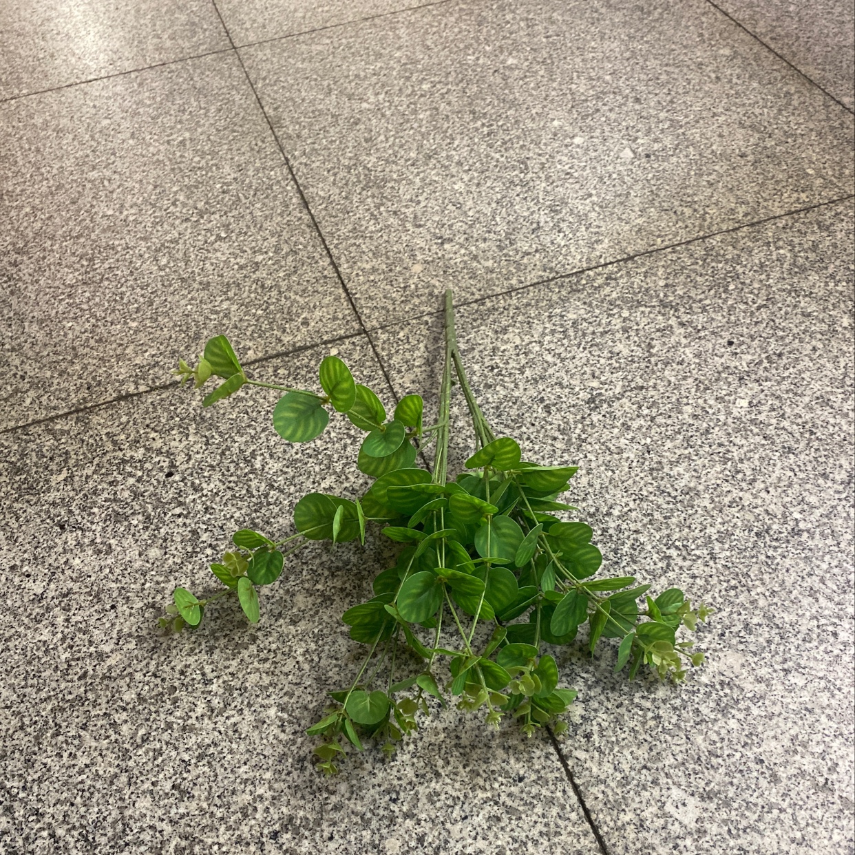 新款仿真花金钱叶0037-2 欢迎来样定做 厂家直销