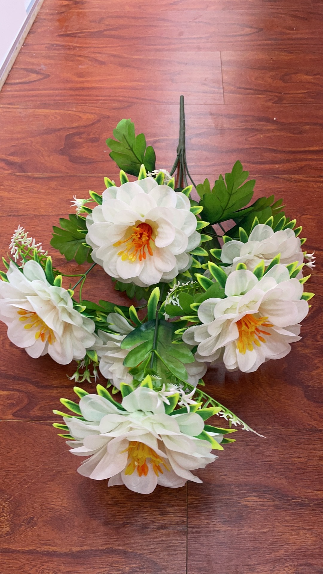 9头二层菊
