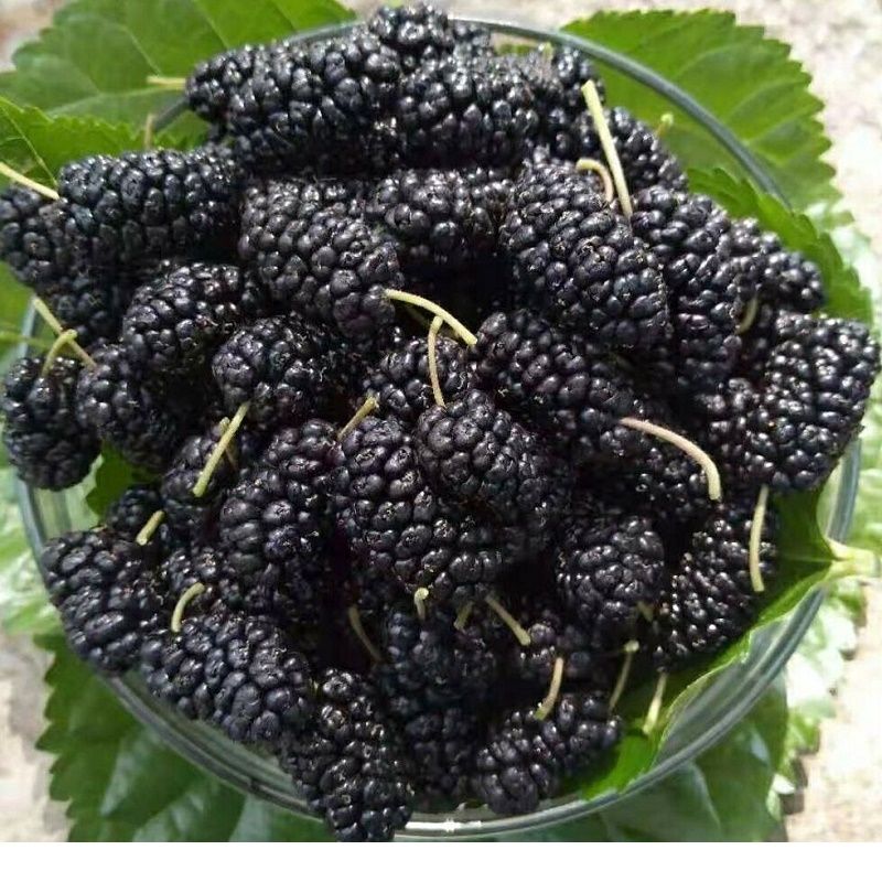 农户自产自销细节图