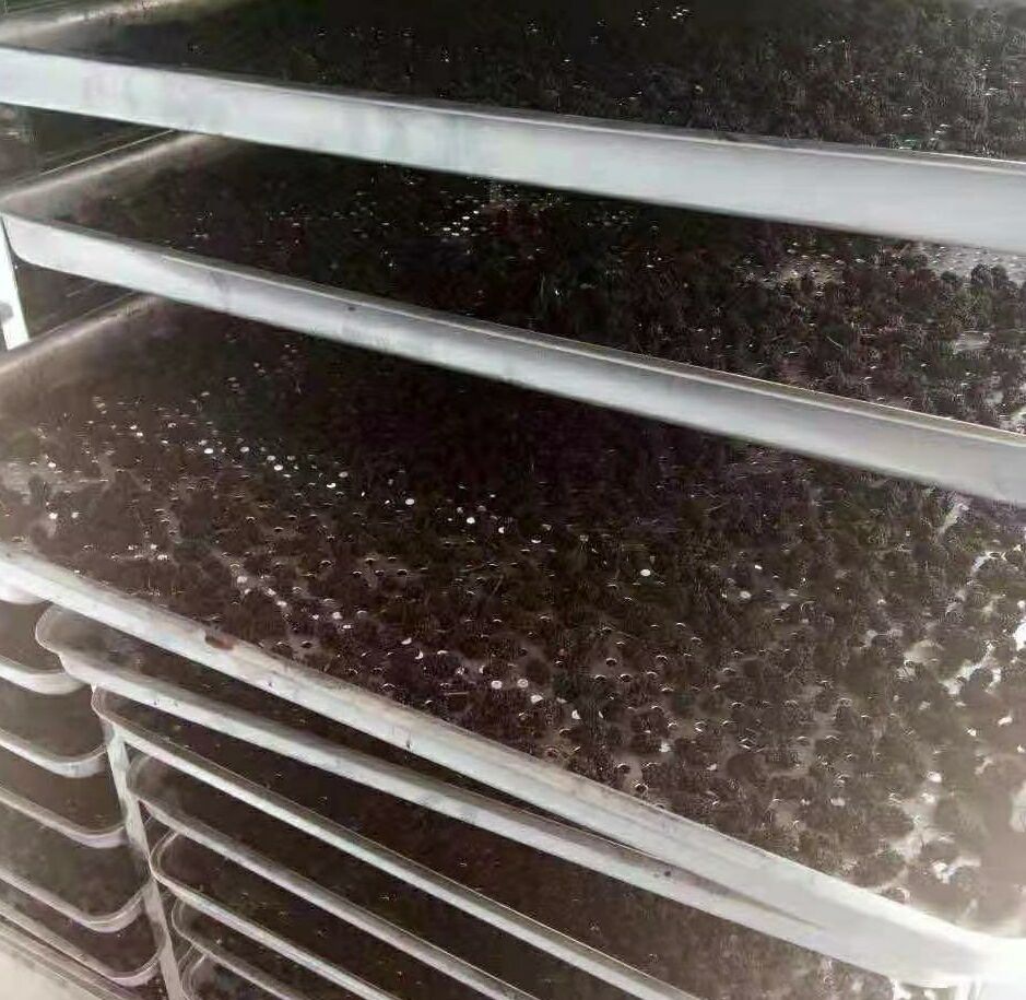 农户自产自销白底实物图