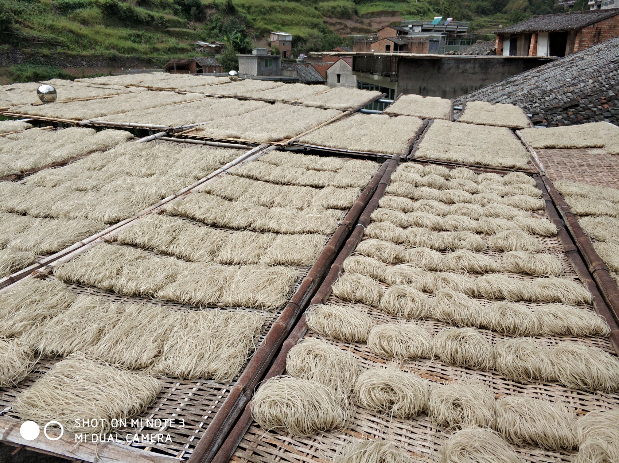 桑椹干500g详情图8