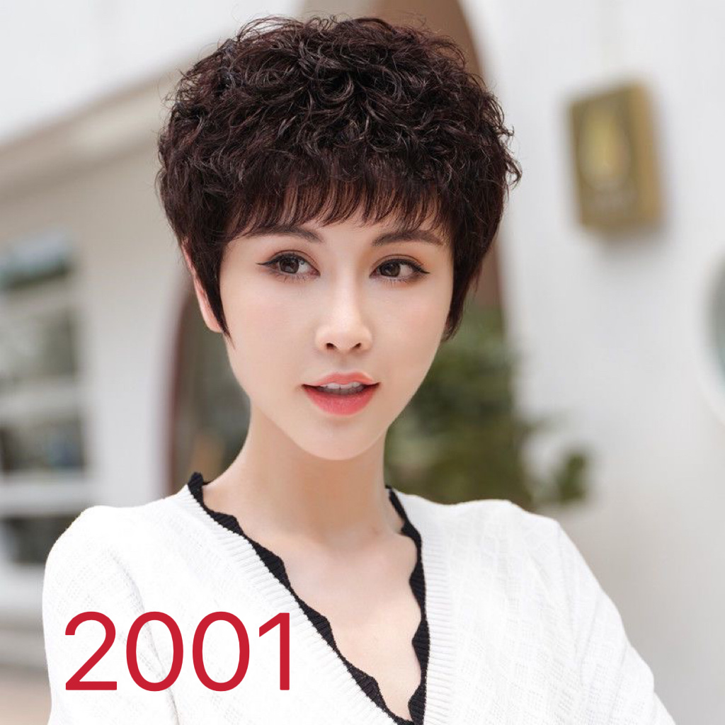 Middle-aged and elderly women's wigs, short summer hair for mothers, real hair for women, full head sets, natural real hair strands, full real hair wigs, 3 Specification image
