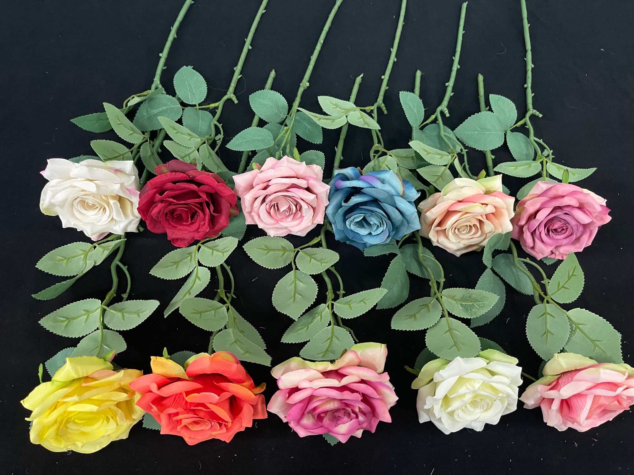 A single rose with a realistic touch details Picture