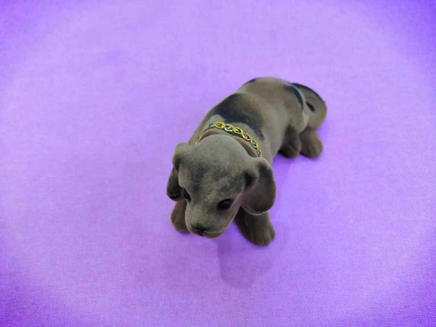 动植物/仿真模型实物图