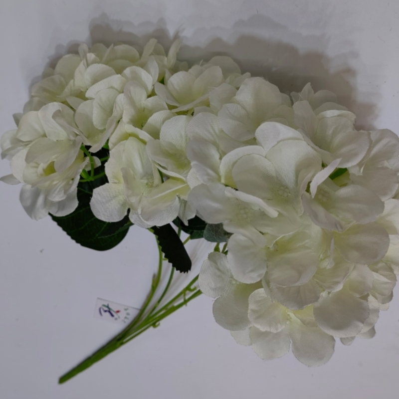 大绣球花详情图5