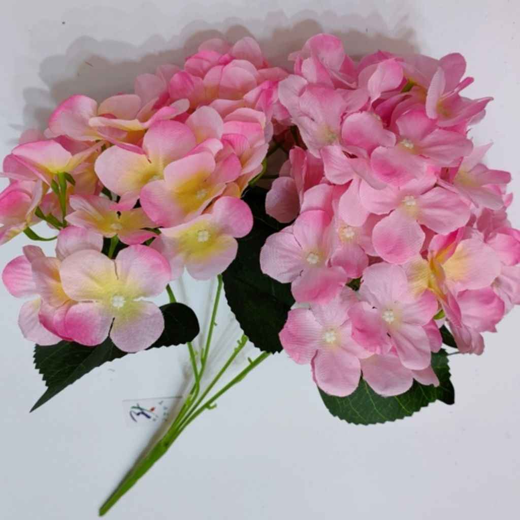 大绣球花详情图3