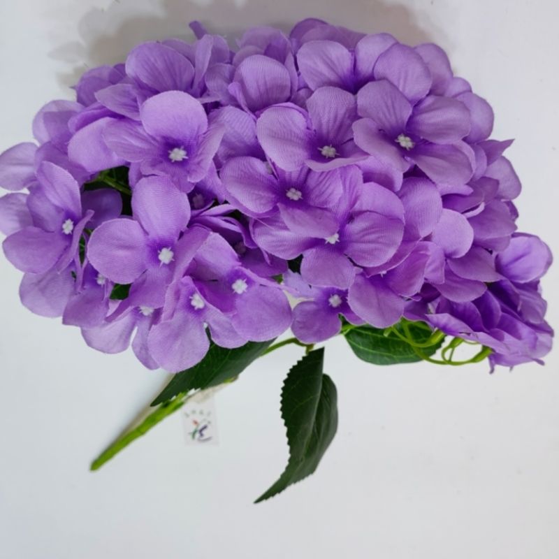 大绣球花详情图4