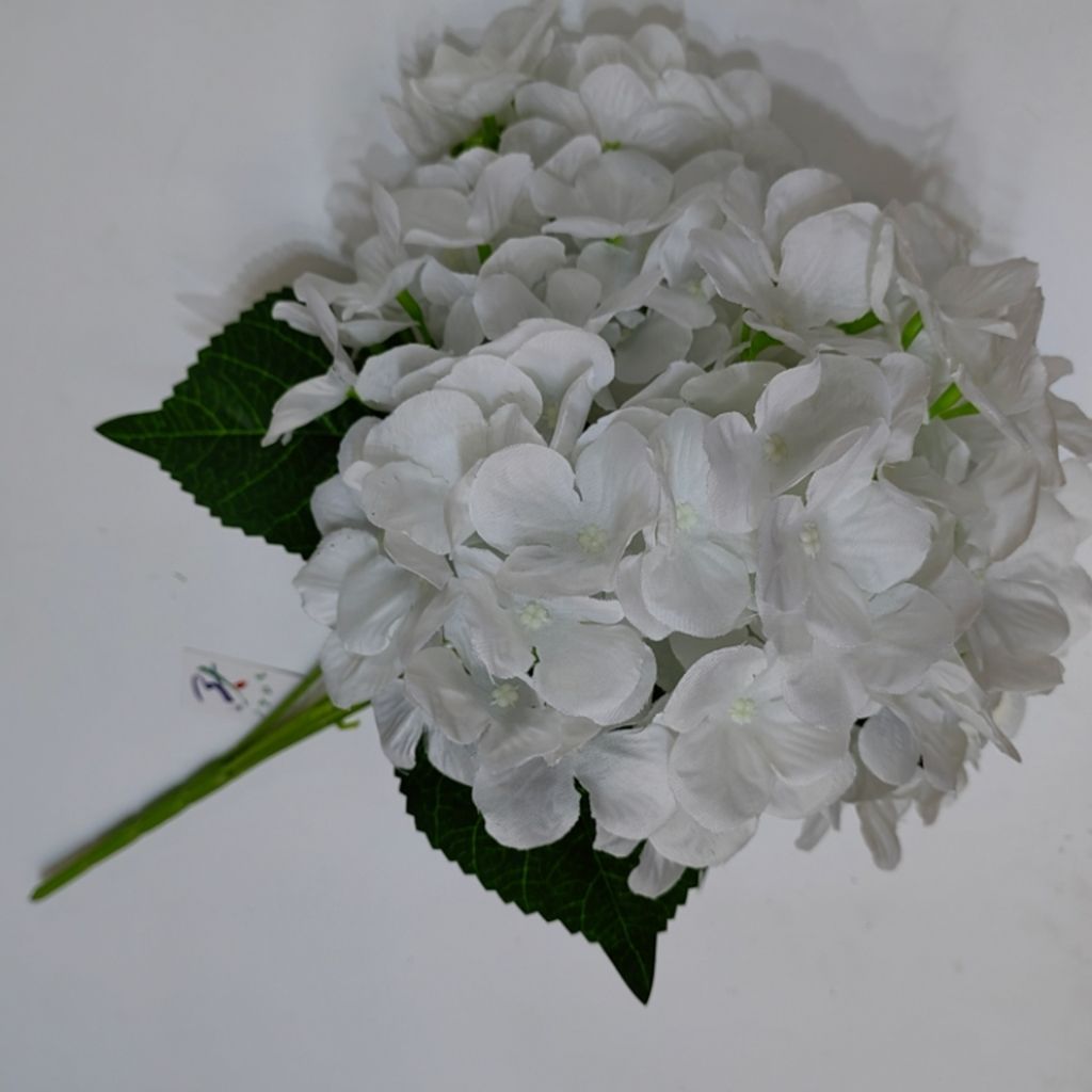 大绣球花详情图2