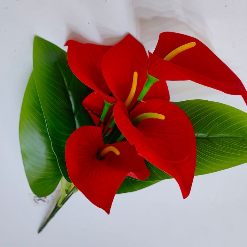 Calla lily bunches