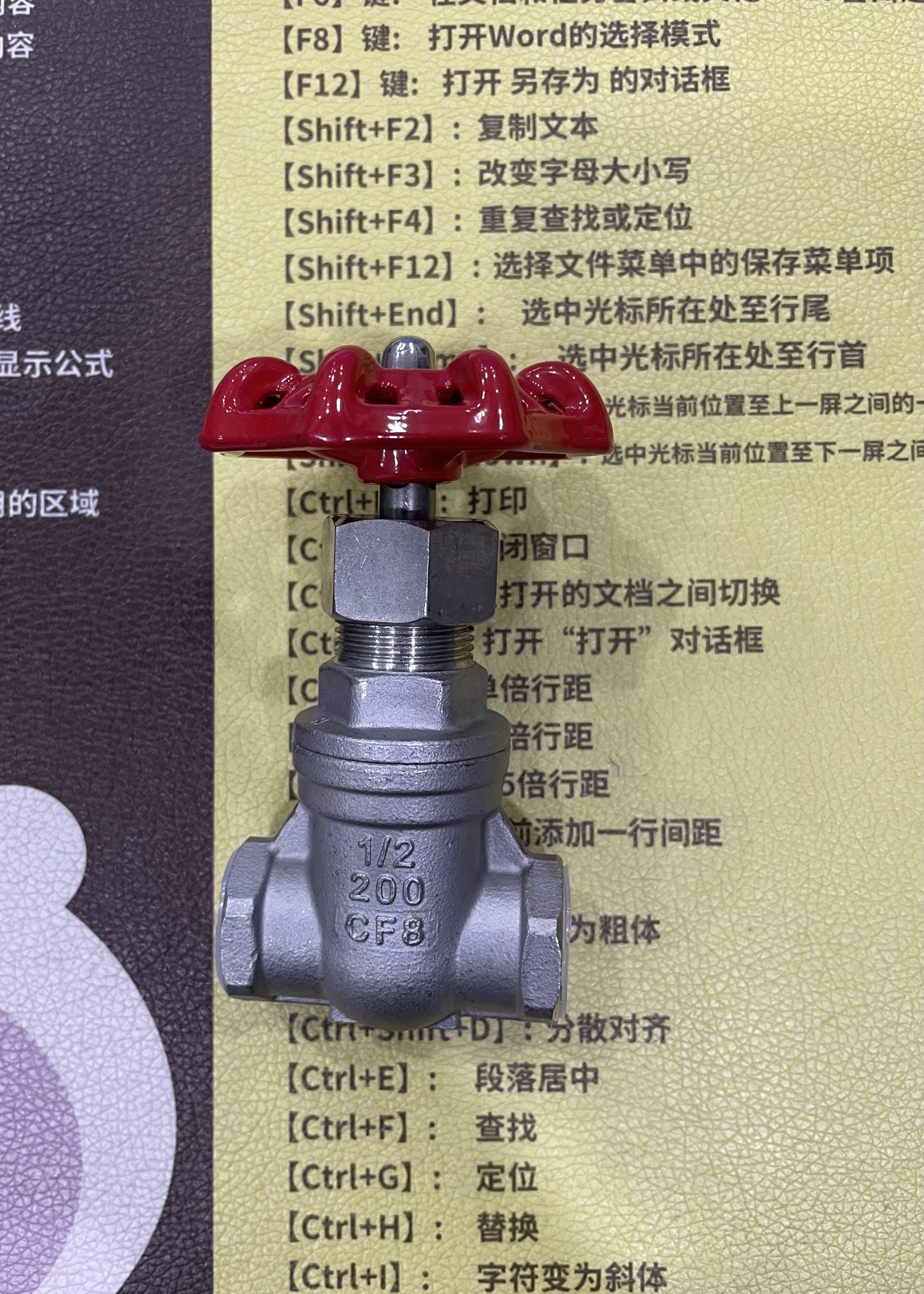 Stainless Steel 304 Gate Valve Z15w full figure