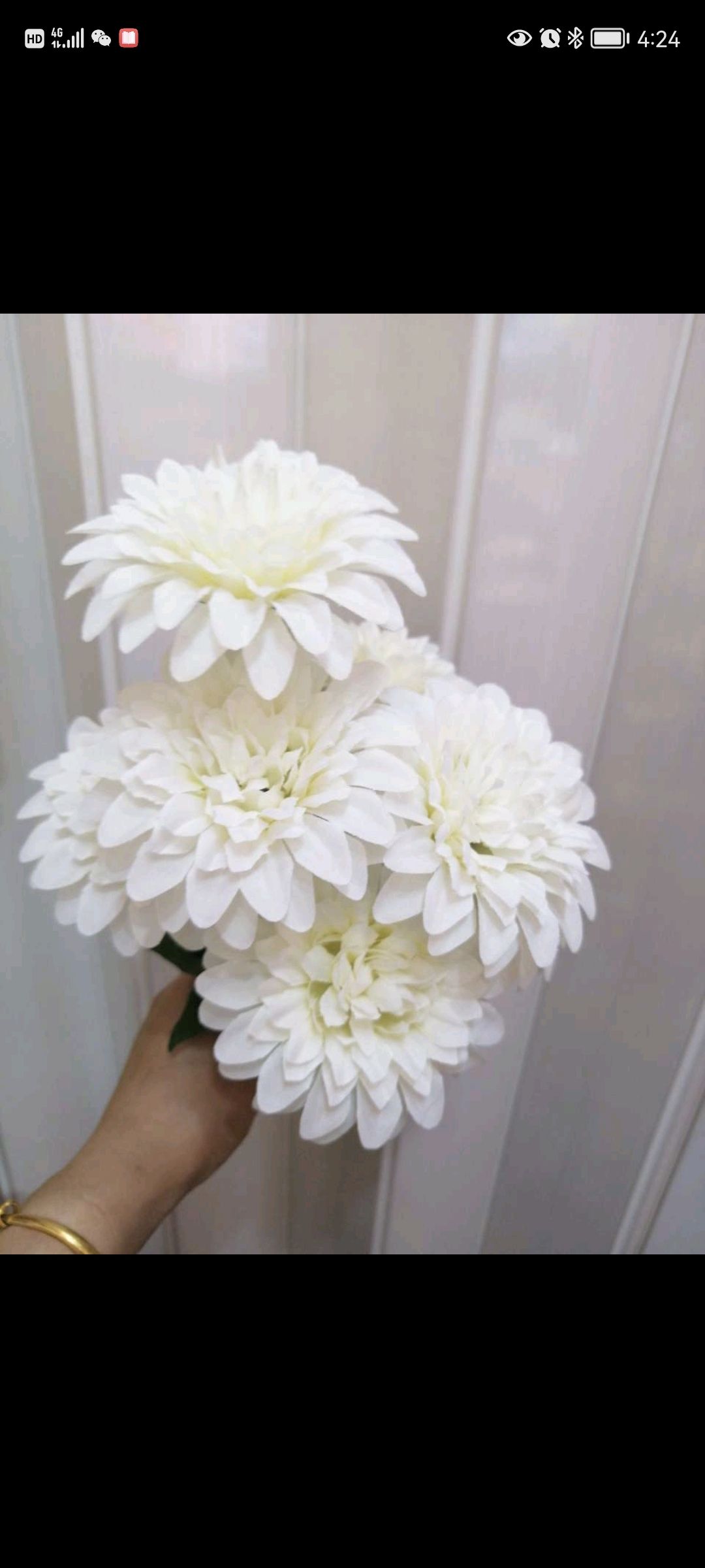 ميبر أقحوان details Picture
