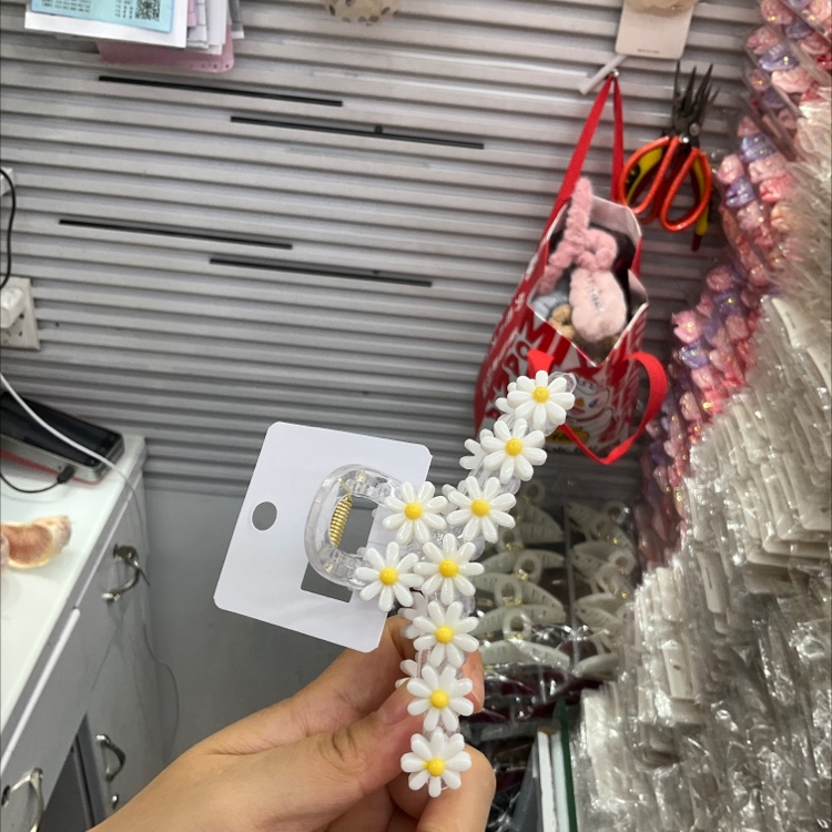 Chrysanthemum Big Claw