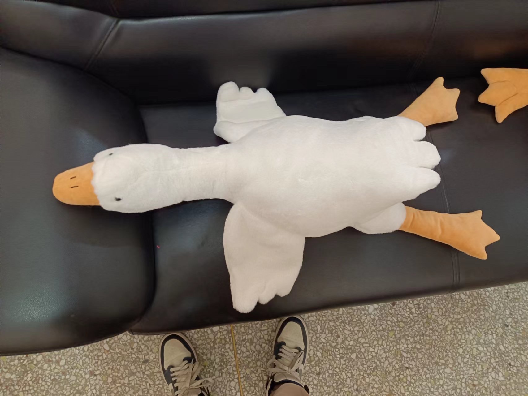 毛绒玩具/玩具/柔软白底实物图