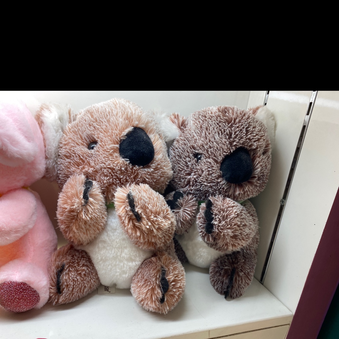 Two-color koala plush 1