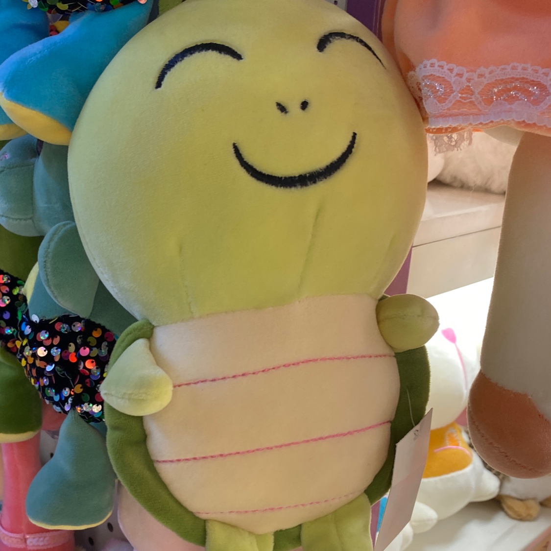 Smiling Turtle Plush 1