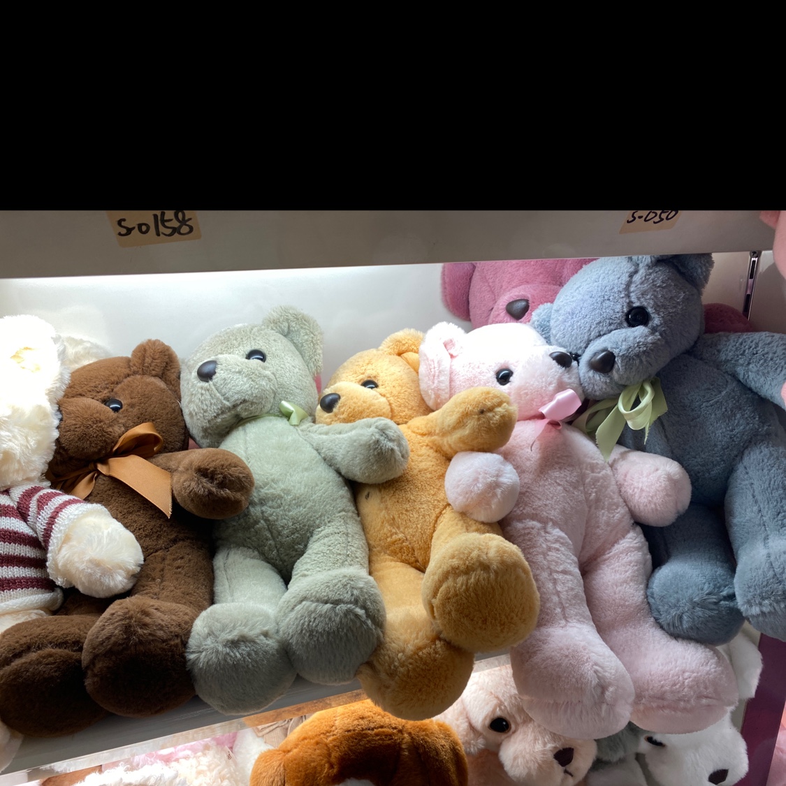 Ten-color Bear Plush 1