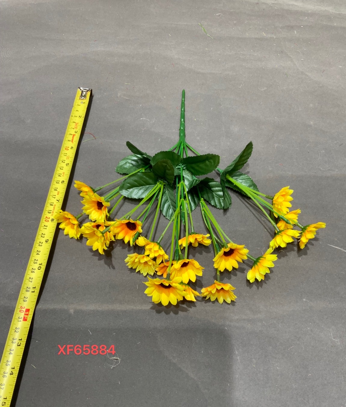 向菲花行XF65884，5叉菊花，5叉菊花