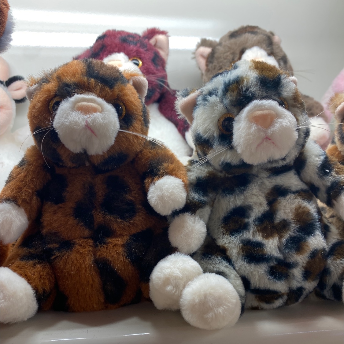 Small animal plush 1