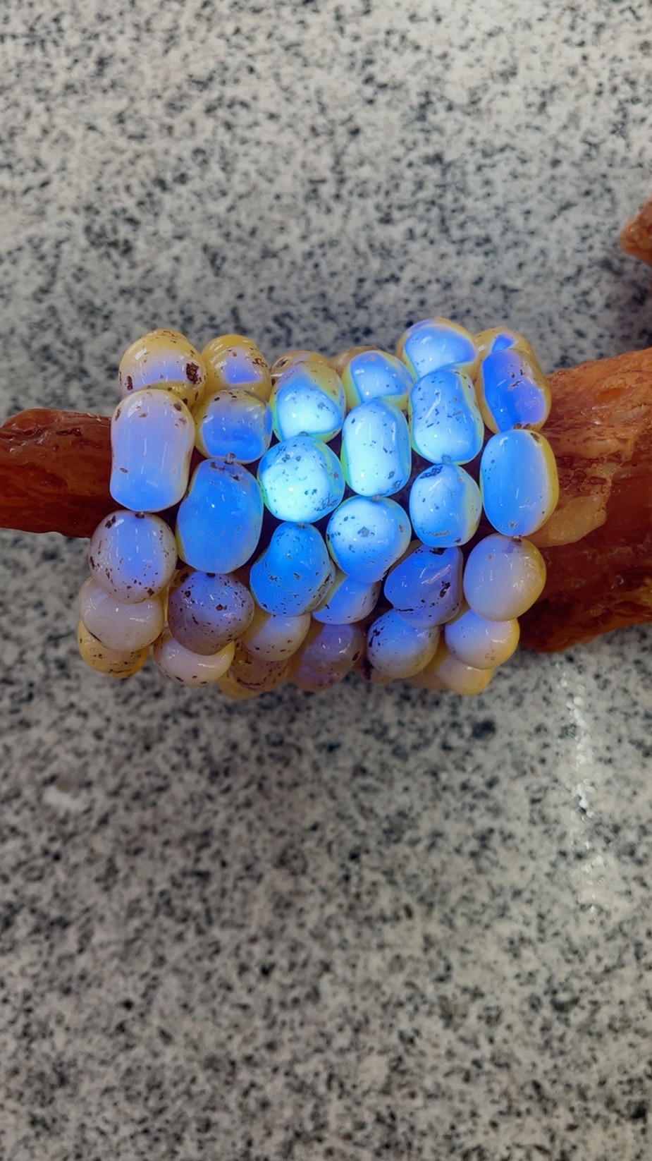 随行带皮仿蜜蜡手串鸡油黄