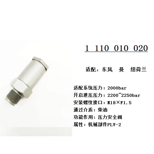American heavy-duty truck fuel system pressure safety valve 1110010020 details Picture