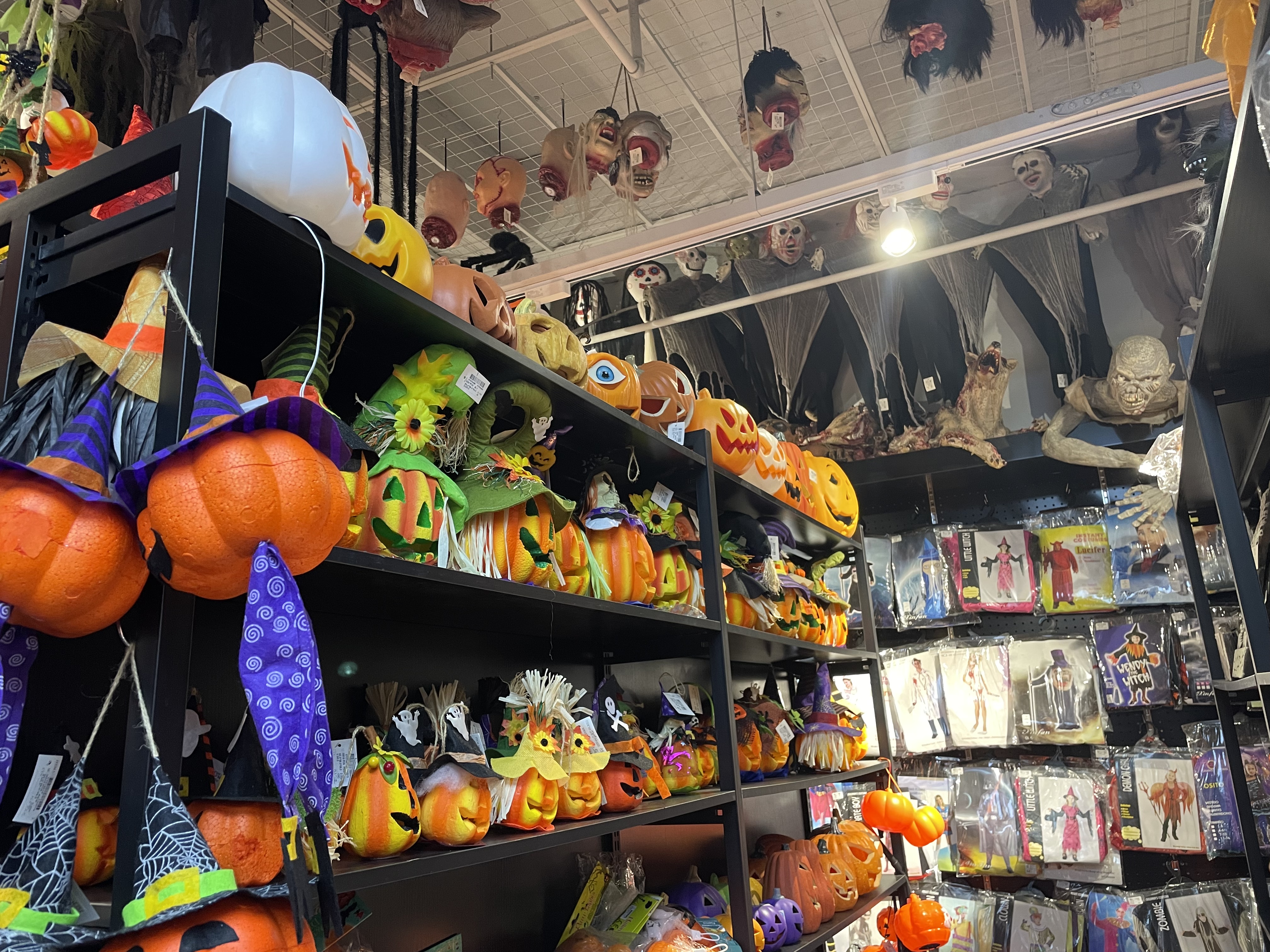 万圣节道具/密室道具/万圣节细节图