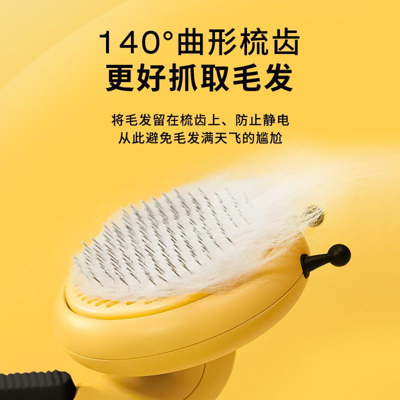 Little Bee pet brush Application Scenario