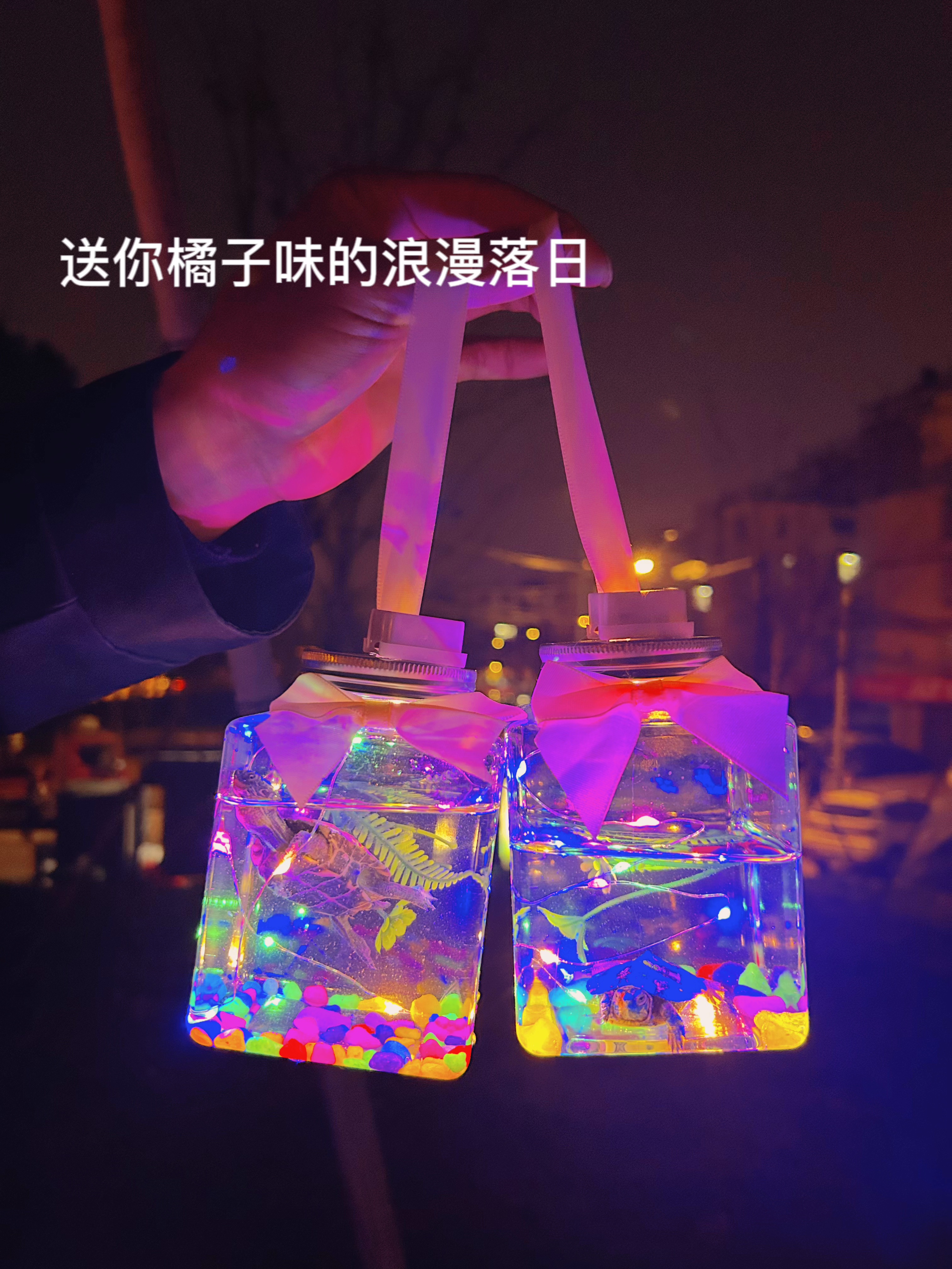 网红吉祥七彩罐罐龟幸运罐罐龟巴西罐罐龟地摊罐罐龟夜市罐罐龟地摊赚钱神器