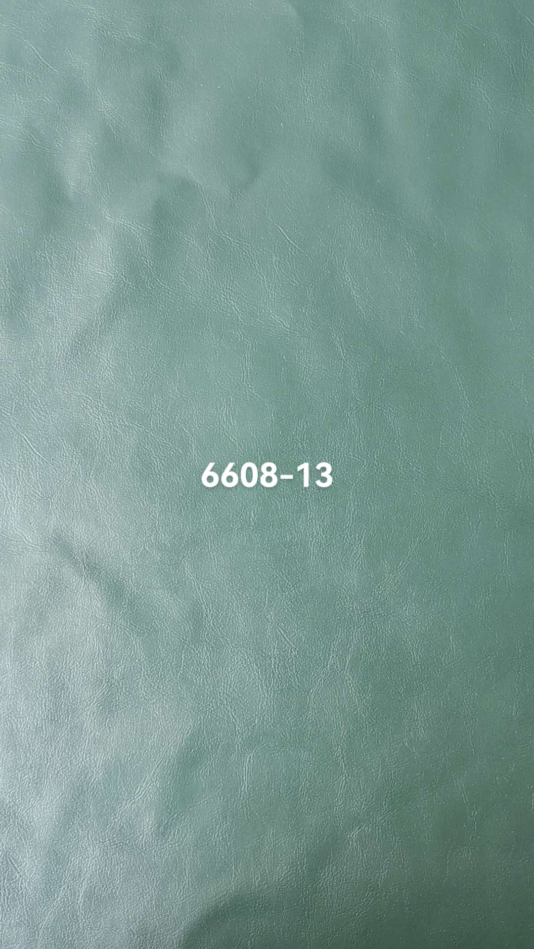 R64纹猫抓皮6608详情图13