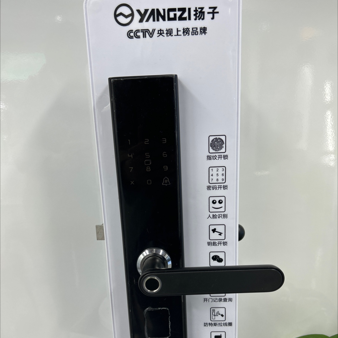 Yz-T01 full figure