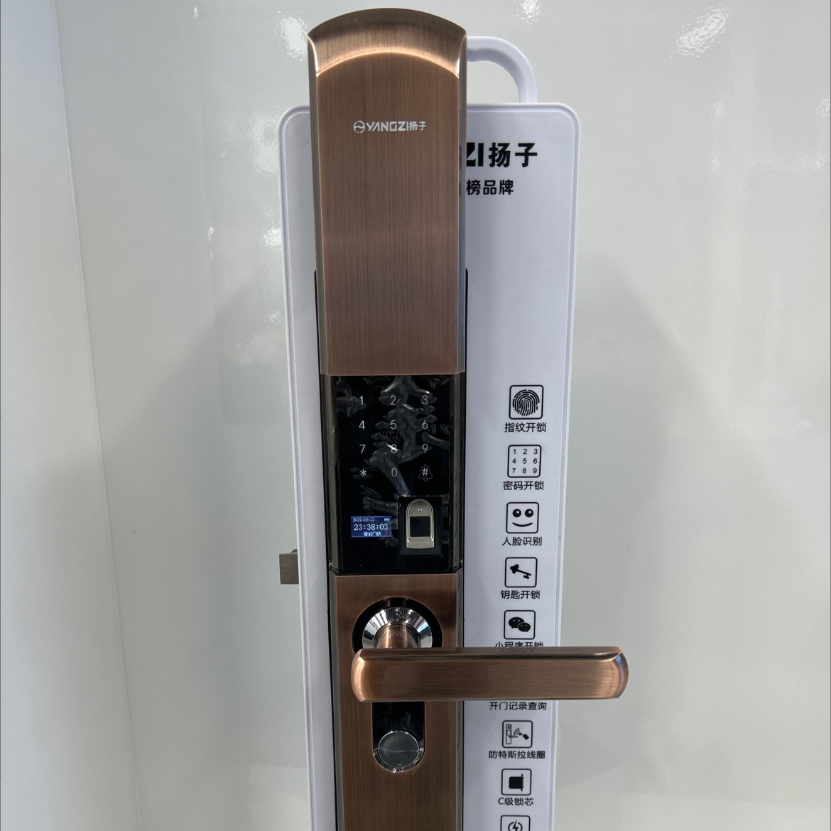 Yz-H6 full figure