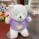 25cm卫衣熊非常宝贝毛绒玩具公仔玩偶抱枕