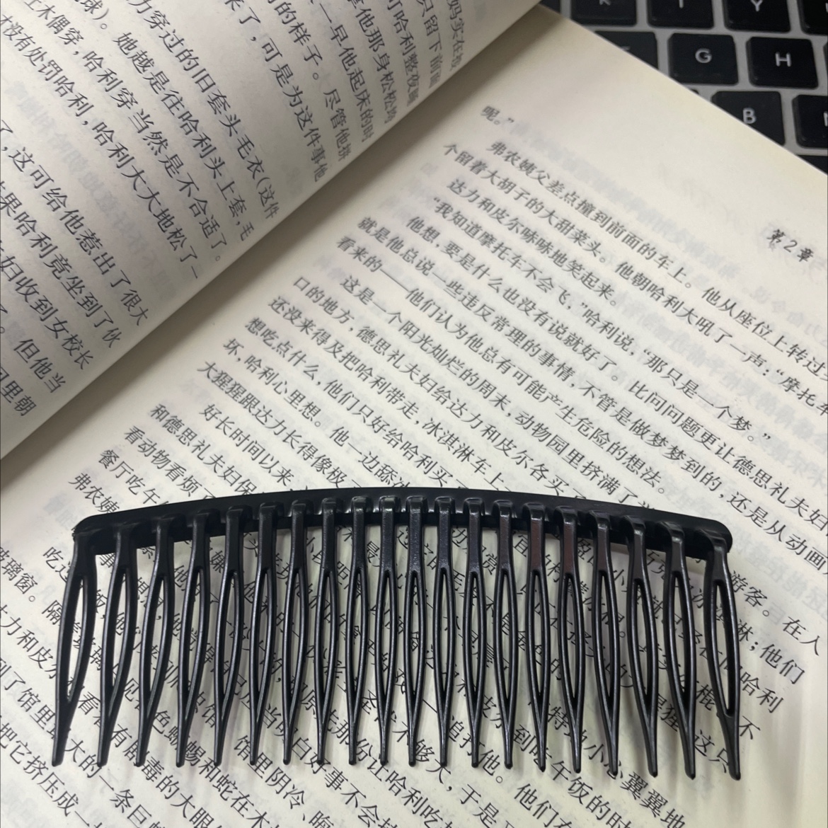 20齿发梳产品图