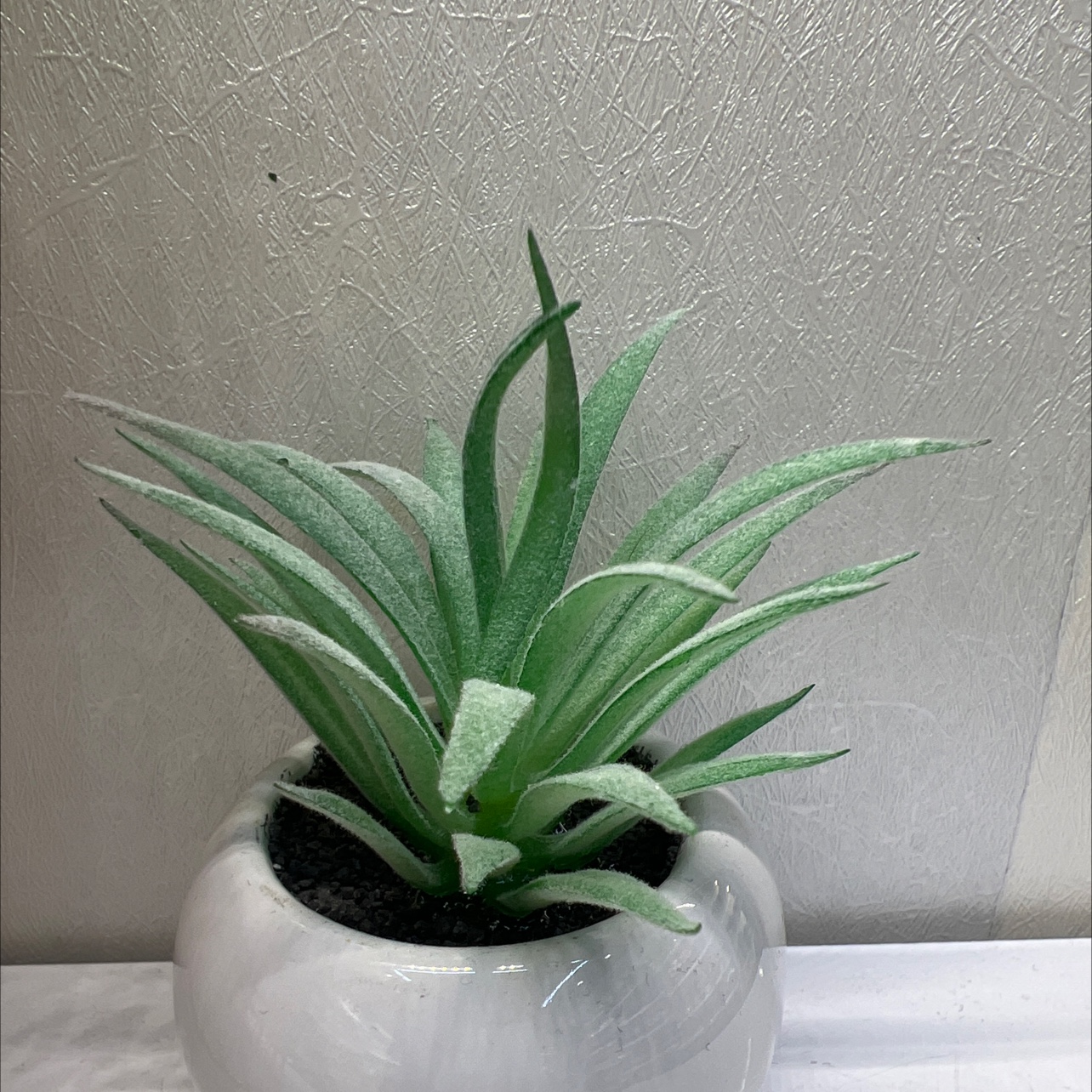 Simulated succulent plants