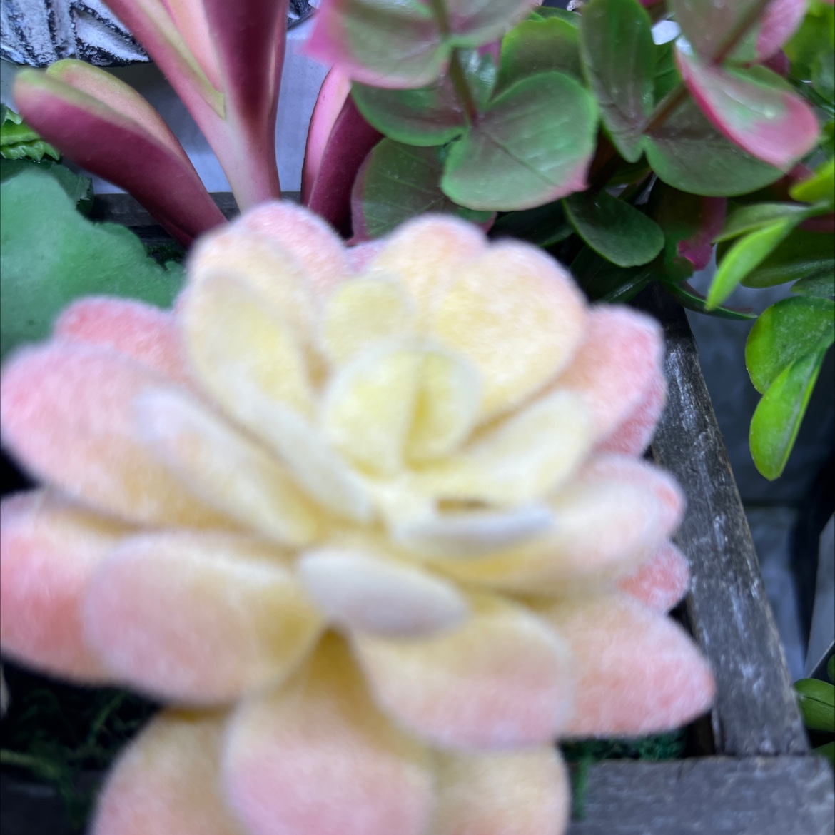 竹筐/干花香包/凤眼/车载小挂件/礼盒细节图
