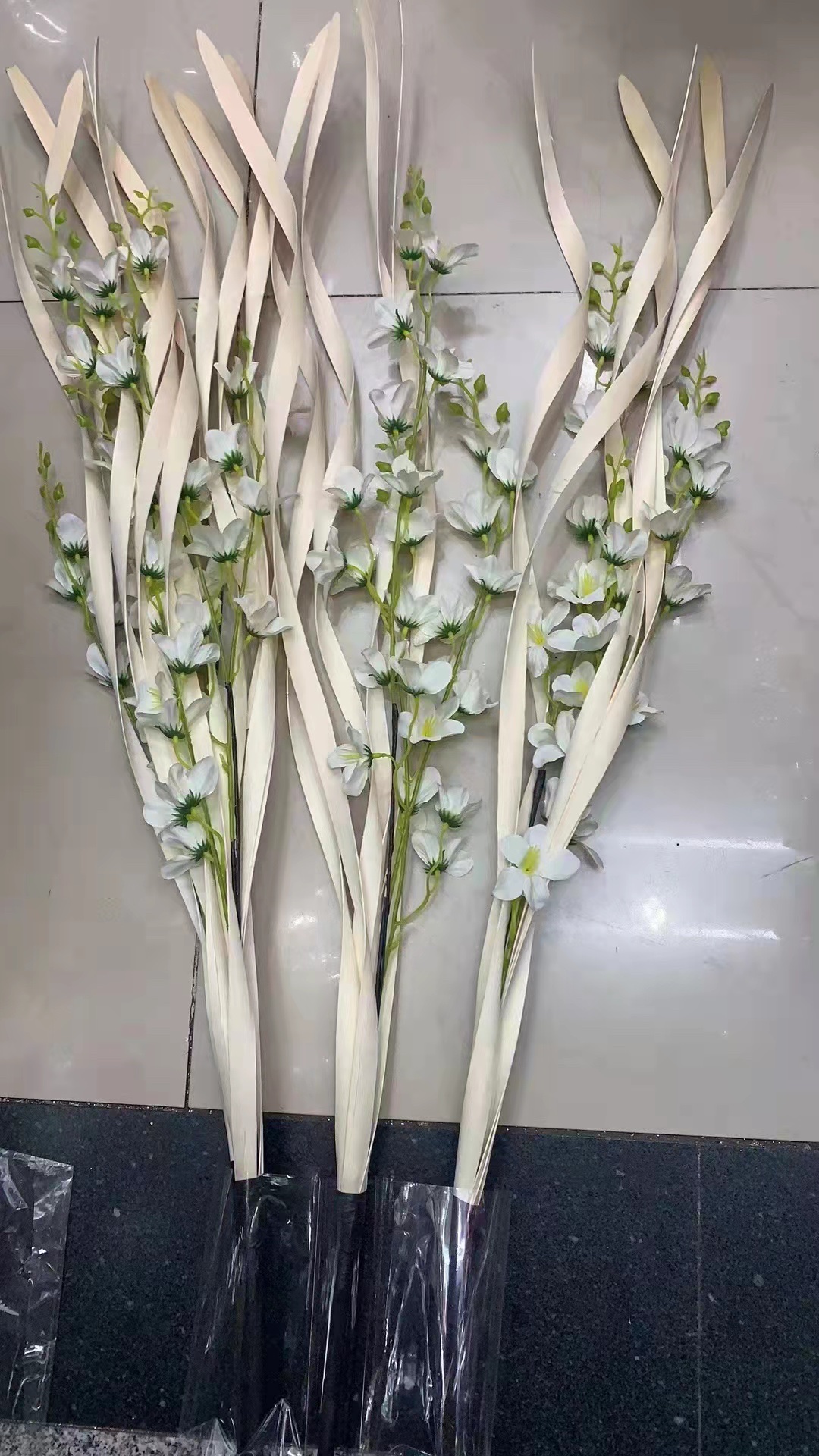 Five woody leaf orchids