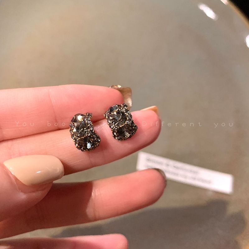 925 Silver ear rings for women, fashionable and elegant, anti-allergy ear buckles, new Korean version earrings 401