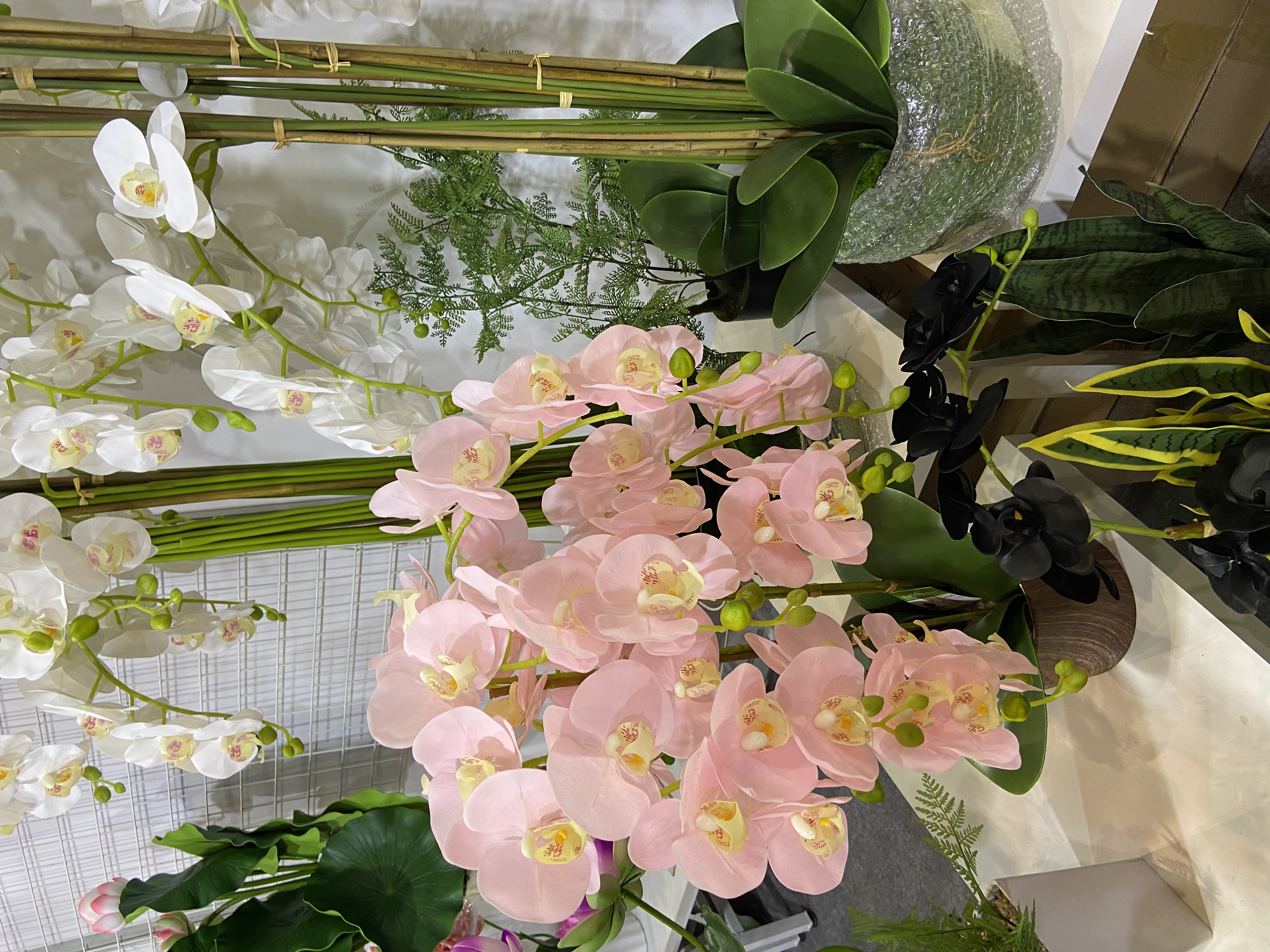 Artificial potted Phalaenopsis Application Scenario