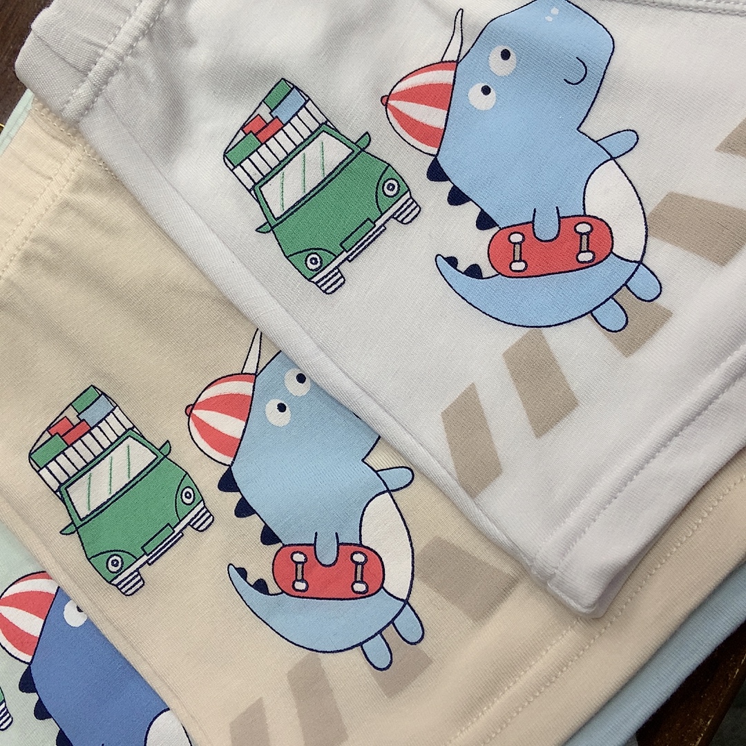 9527 Boys Rc Cotton Underwear full figure