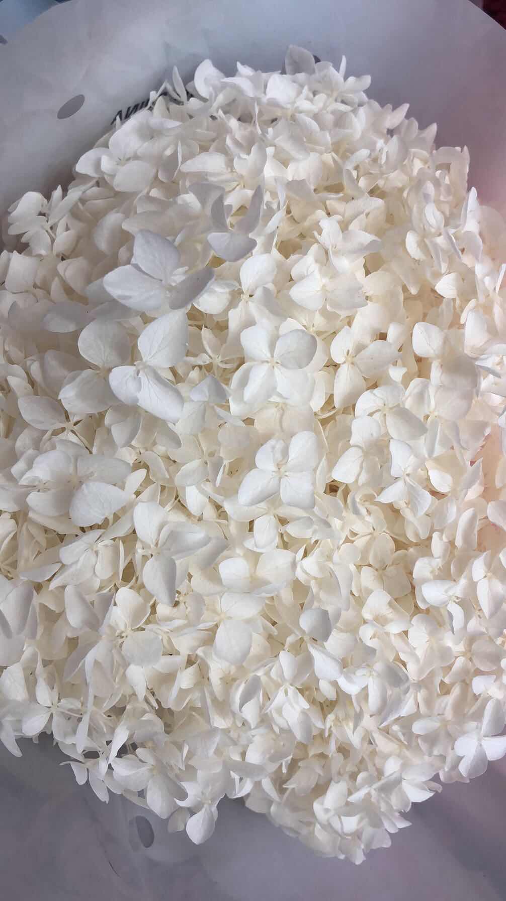绣球 干花工艺品永生花仿真花装饰材料