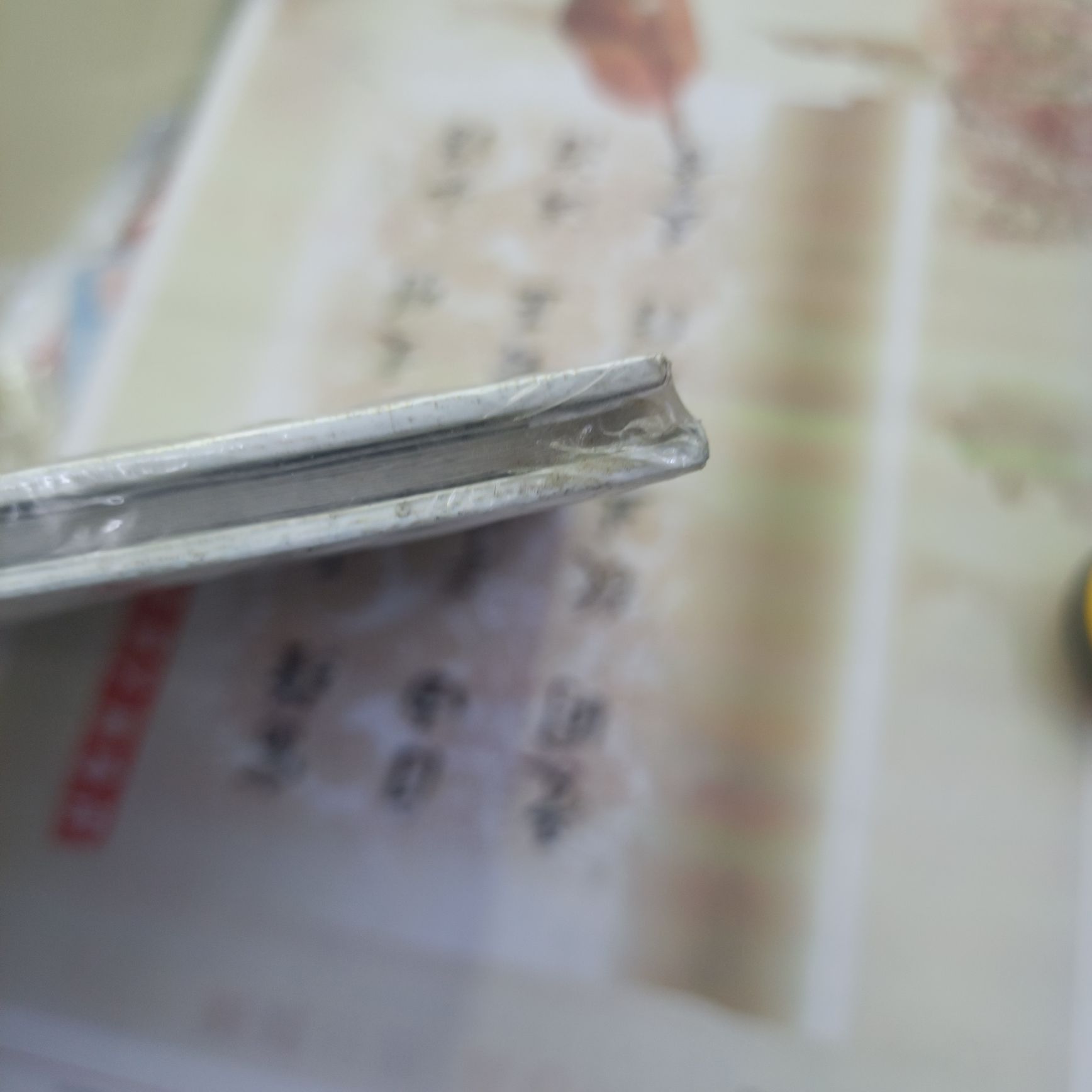 大号10张照片相册
