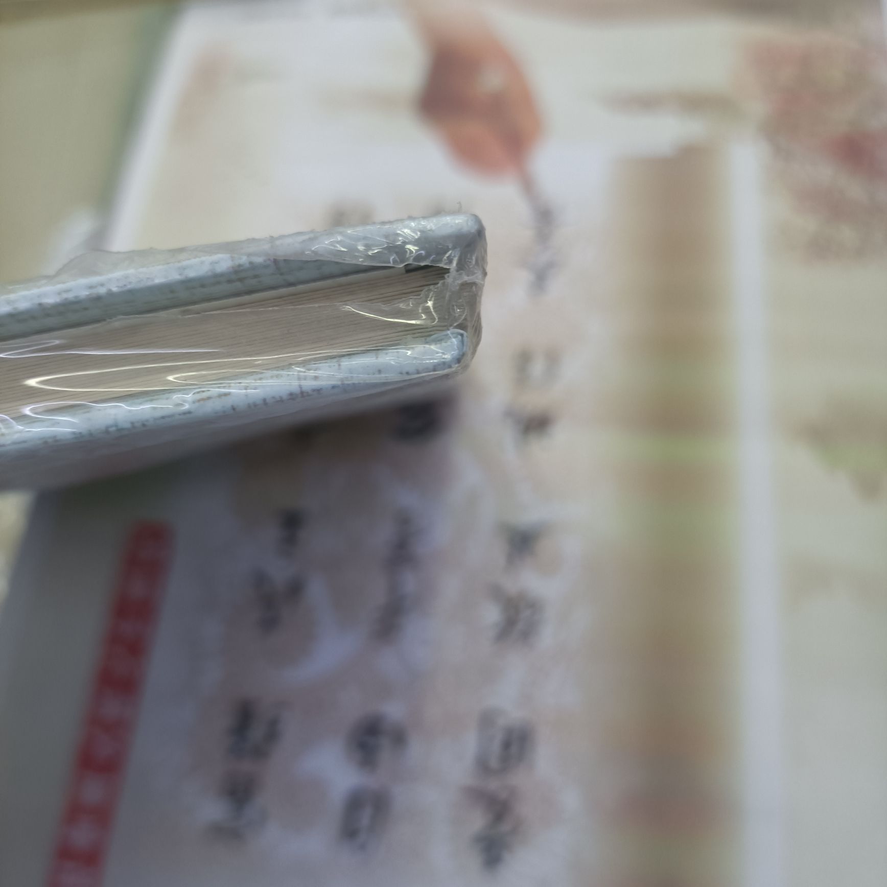 大号20张22.5*28cm照片相册