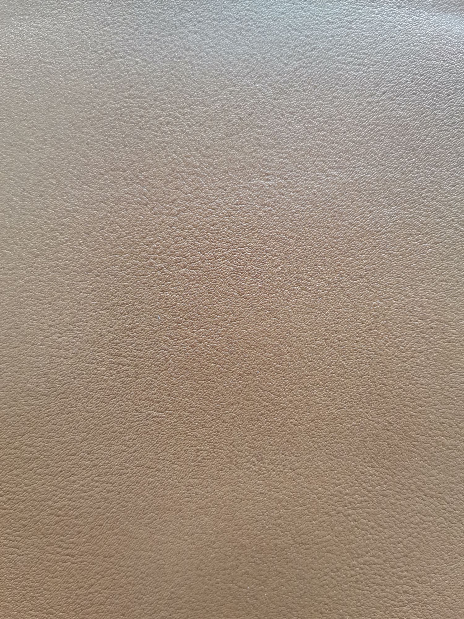 KF1087