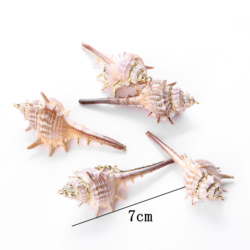 DIY shell jewelry accessories, bracelets, small conch necklaces, earrings, pendants, creative natural handcrafted jewelry accessories pic 7