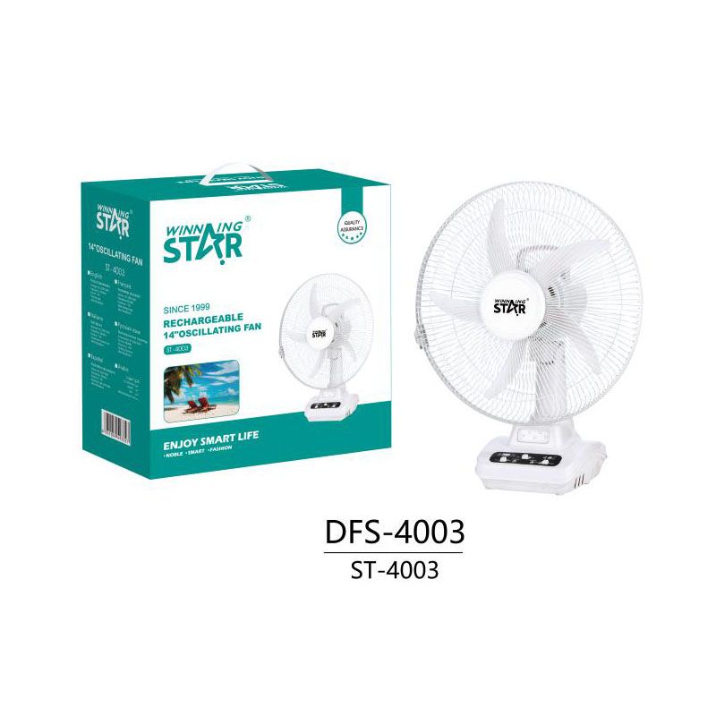 WINNING STAR STAND ELECTRIC FAN