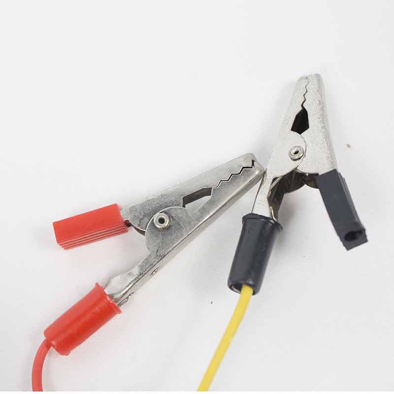 彩色灯泡实物图