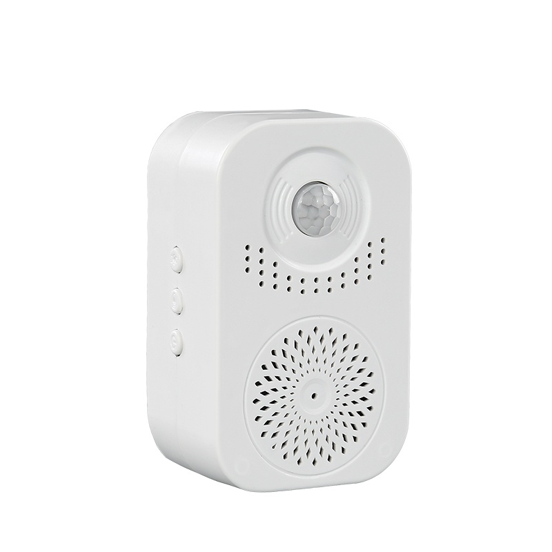 Sensor light doorbell